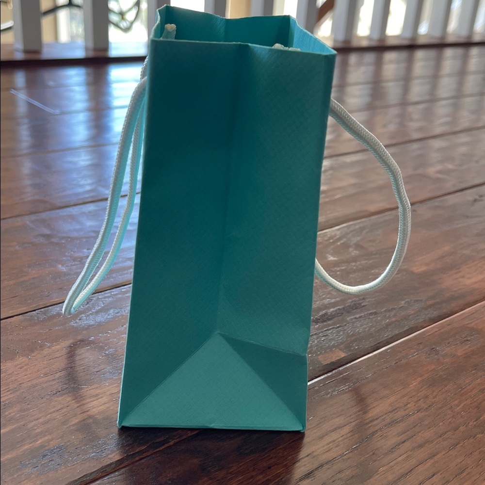Tiffany Shopping Bag, Jewelry Bag, Blue Box & Envelope - NWT - Picture 5 of 11